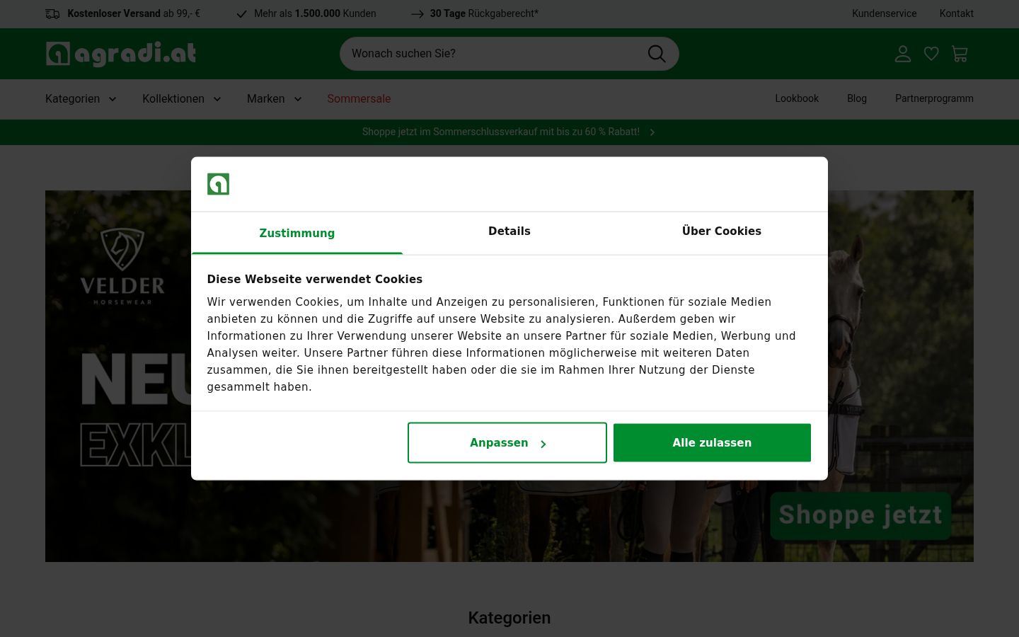 Screenshot of the consent banner shown before any interaction
