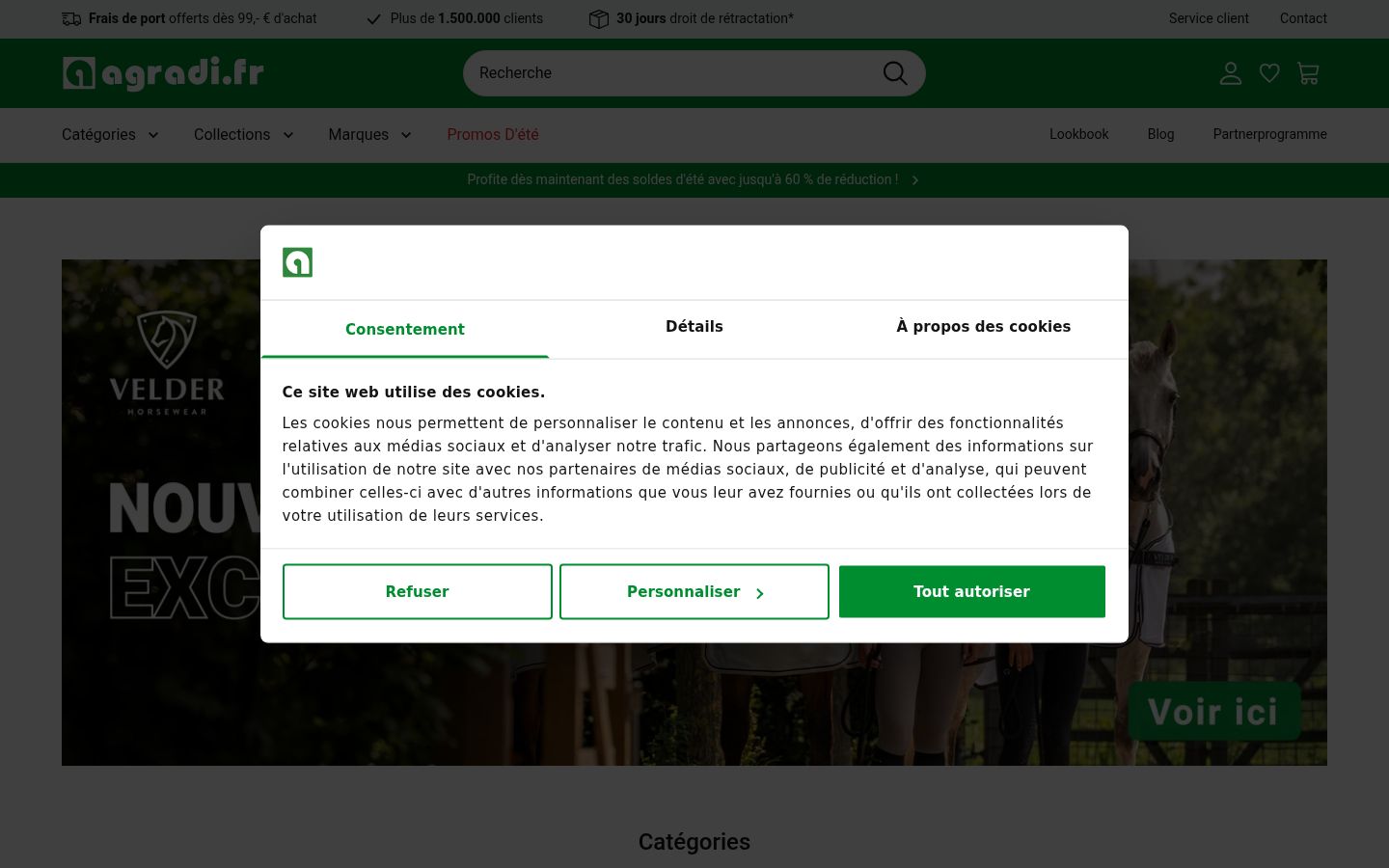 Screenshot of the consent banner shown before any interaction