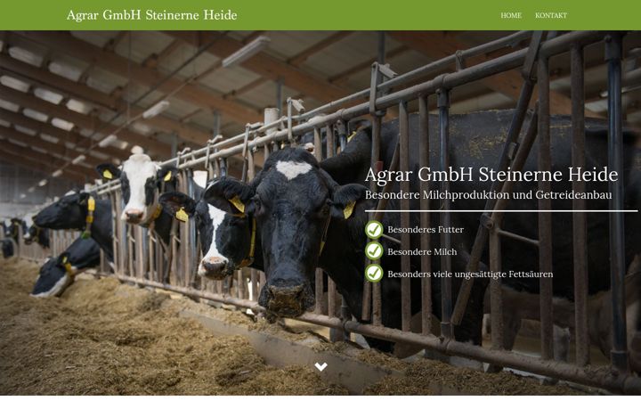 Screenshot of agrar-gmbh-steinerne-heide.de