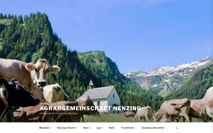 Screenshot of agrar-nenzing.at