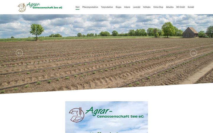 Screenshot of agrar-see.de