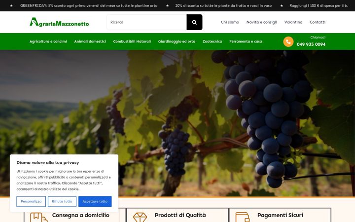 Screenshot of agrariamazzonetto.it