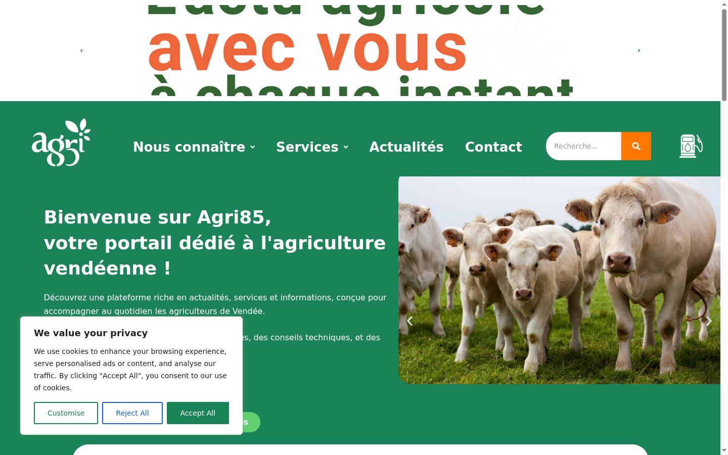 Screenshot of the consent banner shown before any interaction
