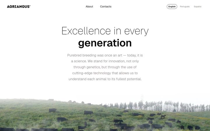 Screenshot of agriangus.pt