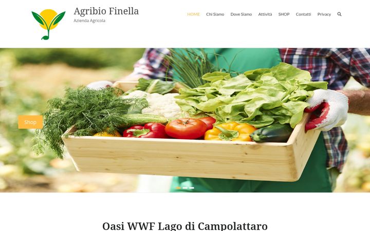 Captura de pantalla de agribiofinella.it