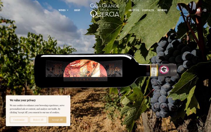 Screenshot of agricasagrande.it