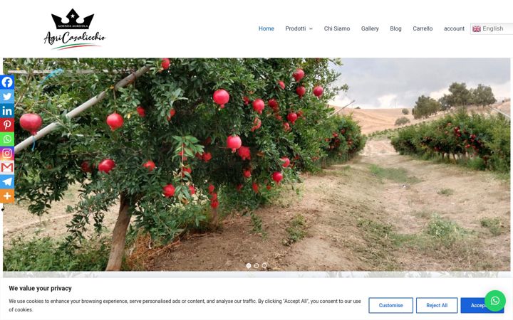 Zrzut ekranu agricasalicchio.com