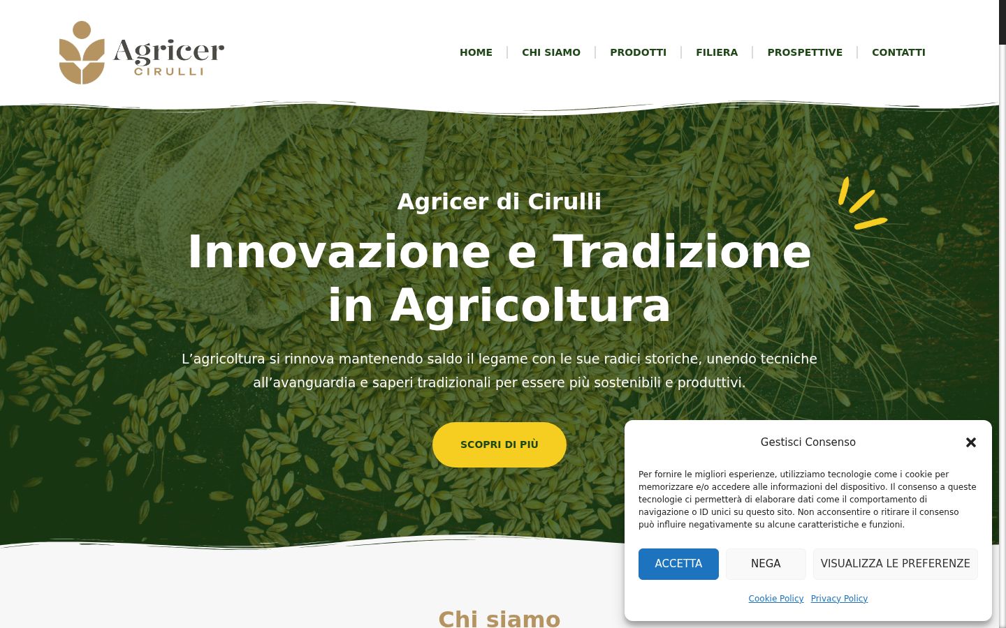 Screenshot del banner di consenso mostrato prima di qualsiasi interazione