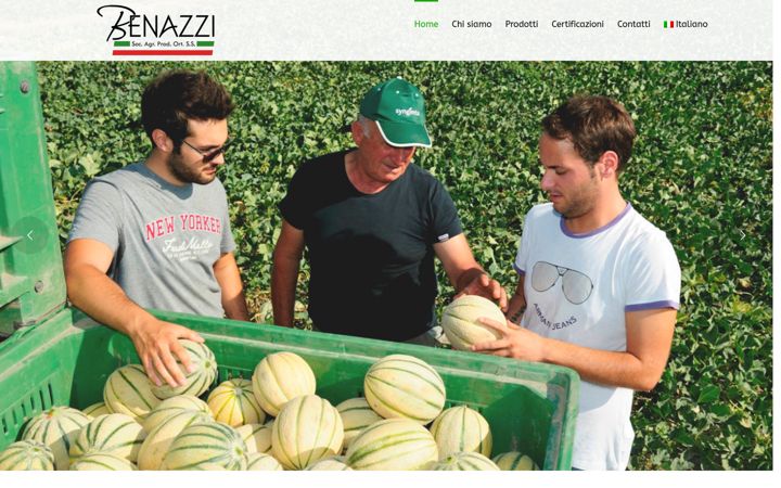 Screenshot of agricolabenazzi.it