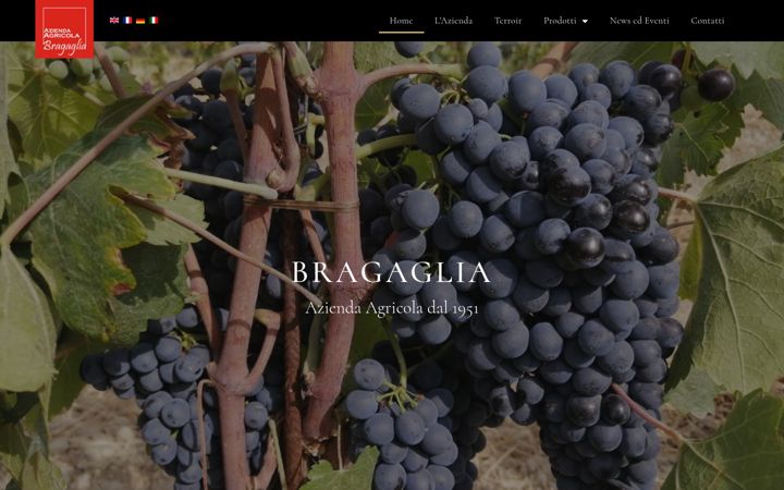 Screenshot of agricolabragaglia.it