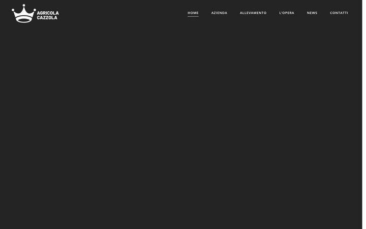 Screenshot of agricolacazzola.it