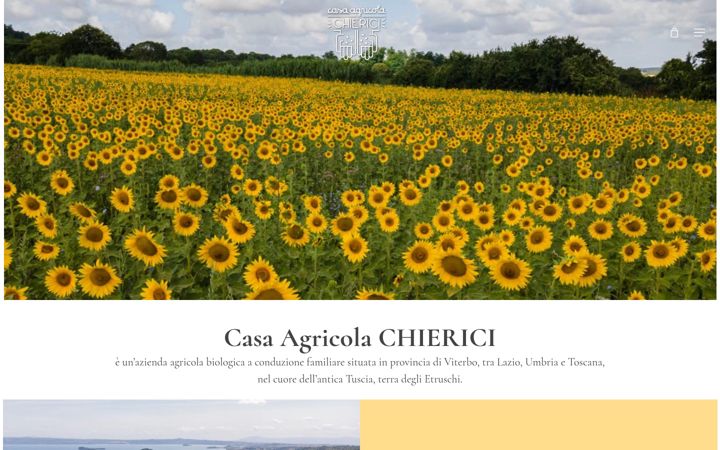 Screenshot of agricolachierici.it