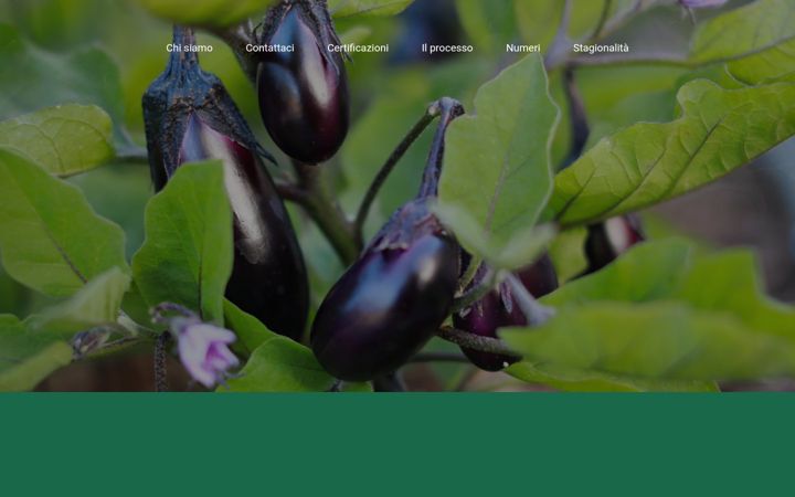 Screenshot of agricolacolpo.it