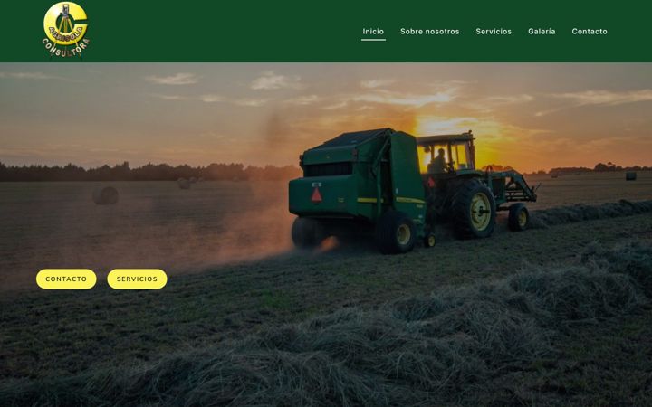 Screenshot of agricolaconsultora.com