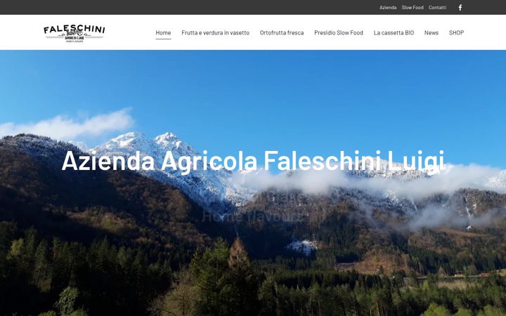 Screenshot of agricolafaleschini.it