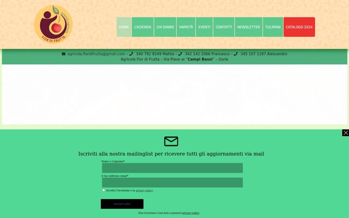 Screenshot of agricolafiordifrutta.it