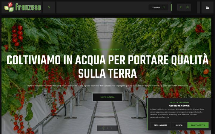 Screenshot of agricolafranzese.it