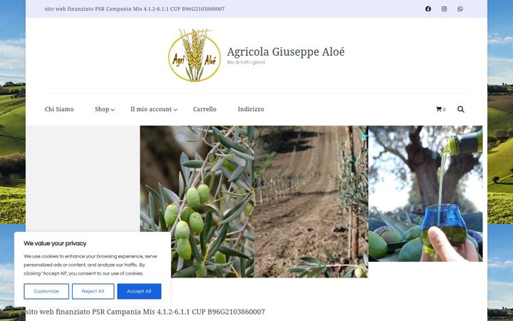 Ekraanipilt saidist agricolagiuseppealoe.it