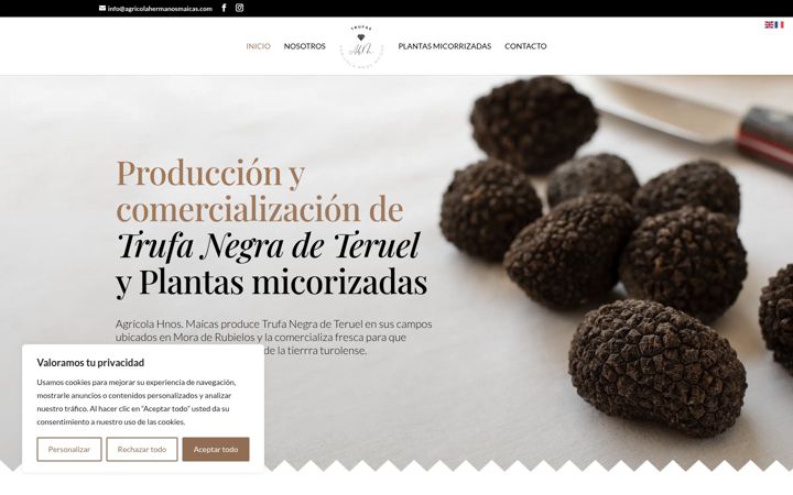 Screenshot of agricolahermanosmaicas.com