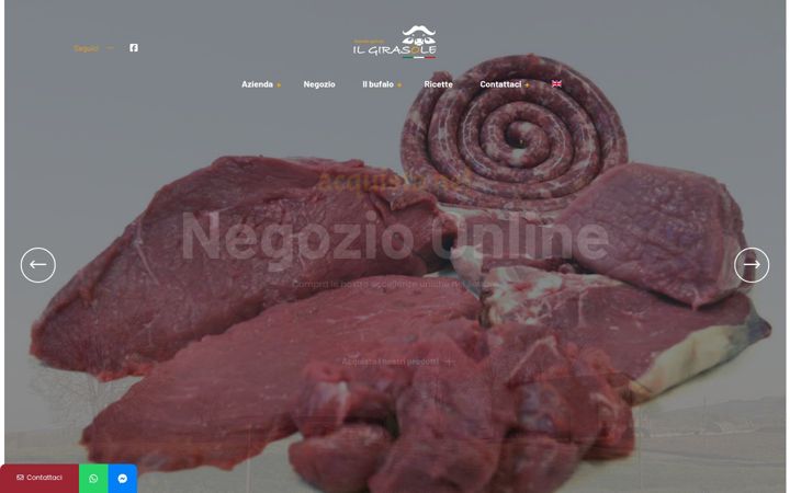 Screenshot of agricolailgirasole.it