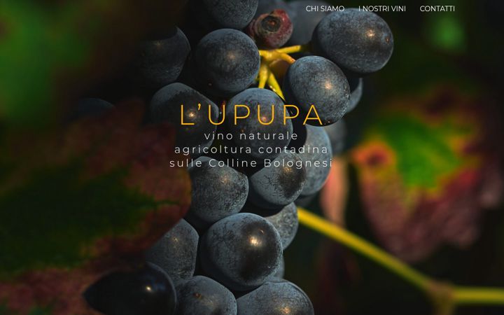 Screenshot of agricolalupupa.it