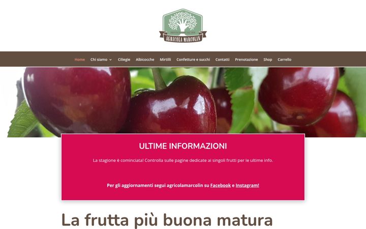 Screenshot of agricolamarcolin.it