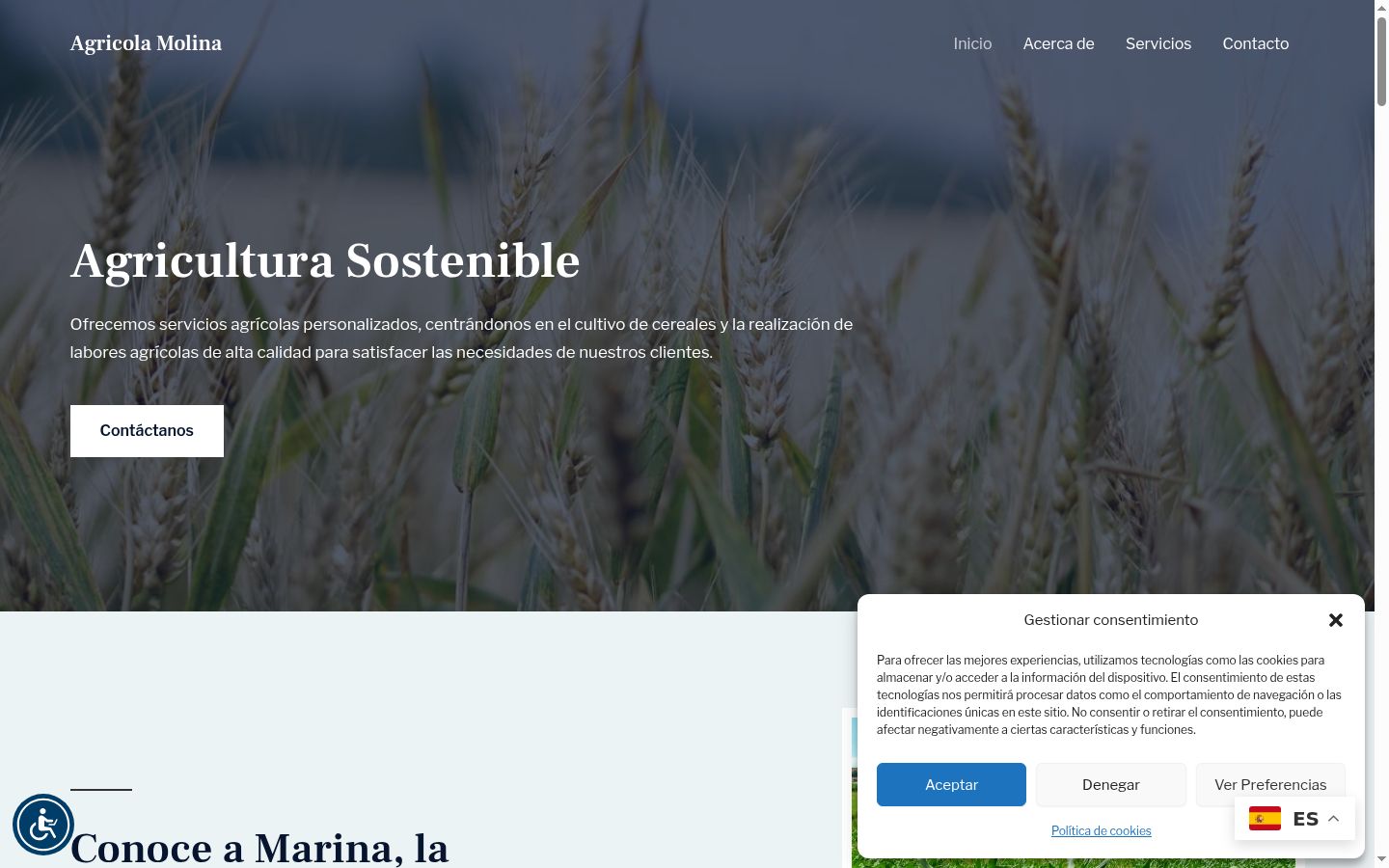 Screenshot tal-banner tal-kunsens muri qabel kwalunkwe interazzjoni