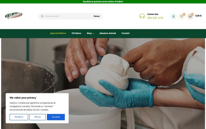 Screenshot of agricolamollone.com