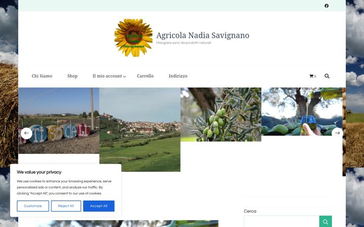 Screenshot of agricolanadiasavignano.it