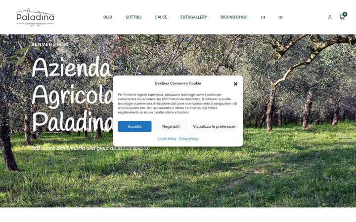 Screenshot of agricolapaladina.com