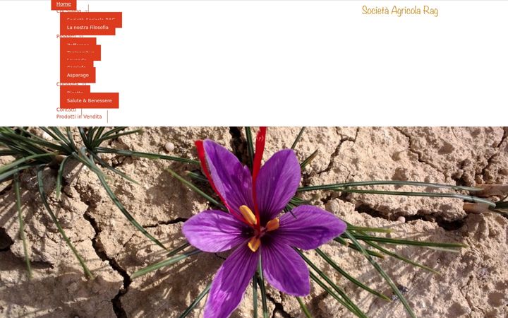 Screenshot of agricolarag.com