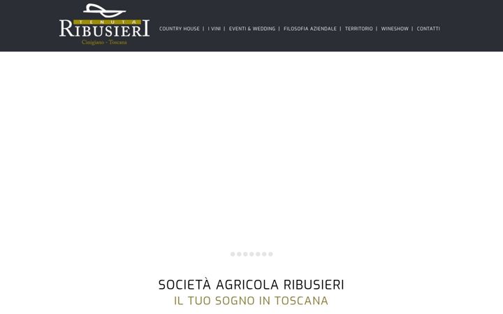 Screenshot of agricolaribusieri.it