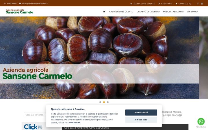 Screenshot of agricolasansonecarmelo.it