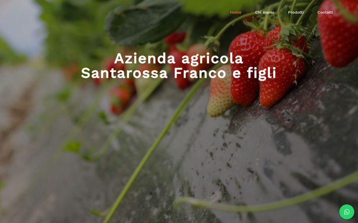 Screenshot of agricolasantarossa.it