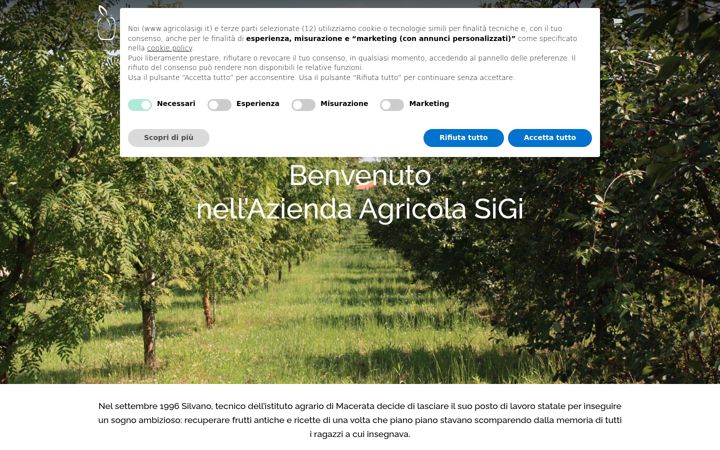 Captură de ecran a agricolasigi.it
