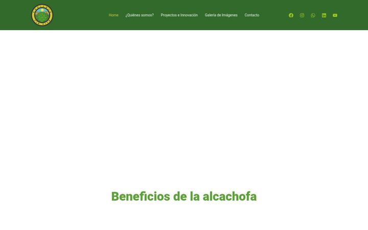 Screenshot of agricolatiovito.cl