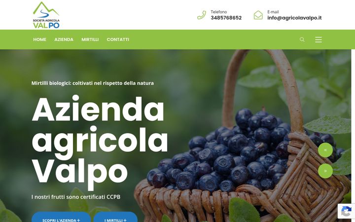 Screenshot of agricolavalpo.it