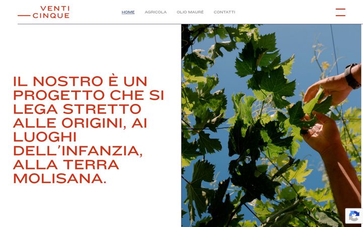 Screenshot ta' agricolaventicinque.it