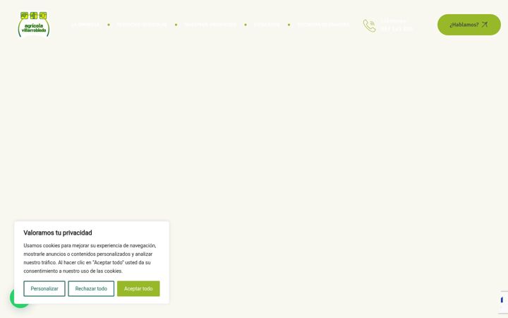 Screenshot ta' agricolavillarrobledo.com