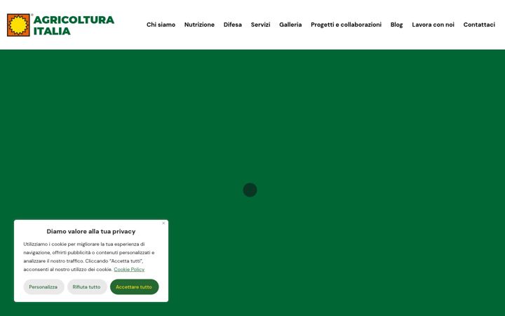 Screenshot of agricolturaitaliasrl.it