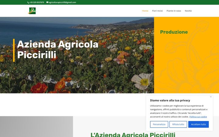 Screenshot of agricolturapiccirilli.it