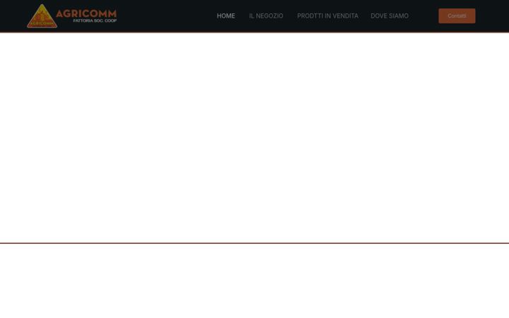 Screenshot of agricommfattoria.it