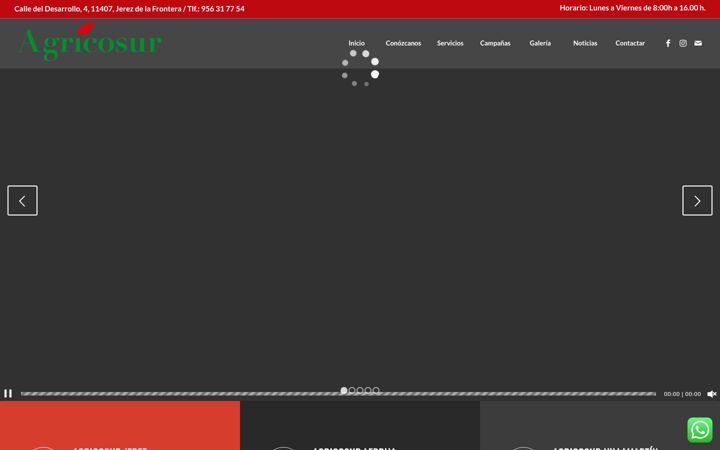 Screenshot of agricosur.com