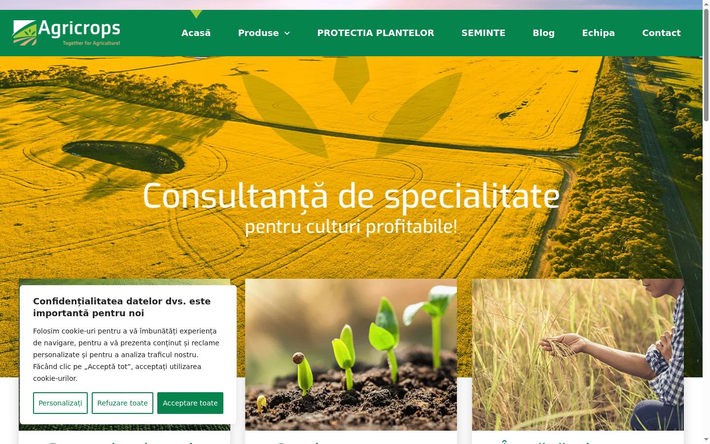 Screenshot of the consent banner shown before any interaction