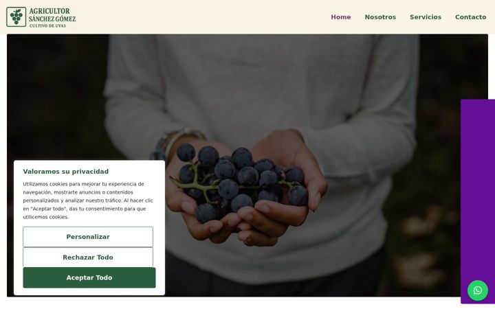 Screenshot of agricultorsanchezgomez.com