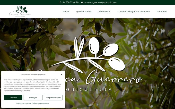 Screenshot of agriculturacuencaguerrero.com