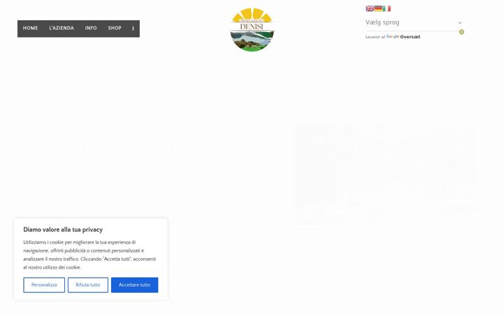 Zrzut ekranu agridenisi.it