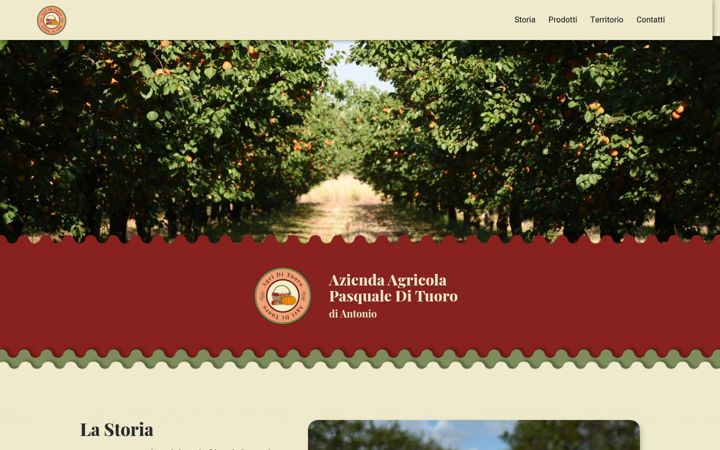 Screenshot of agridituoro.it