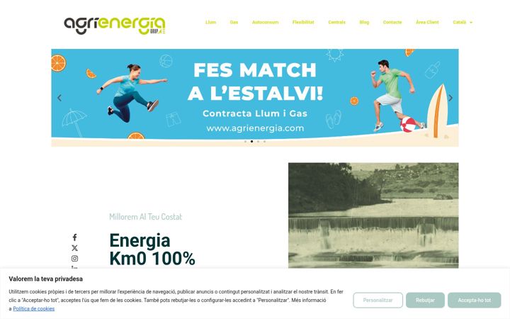 Screenshot of agrienergia.com