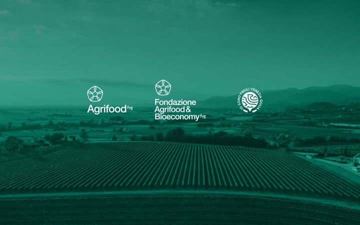 Screenshot of agrifoodfvg.it
